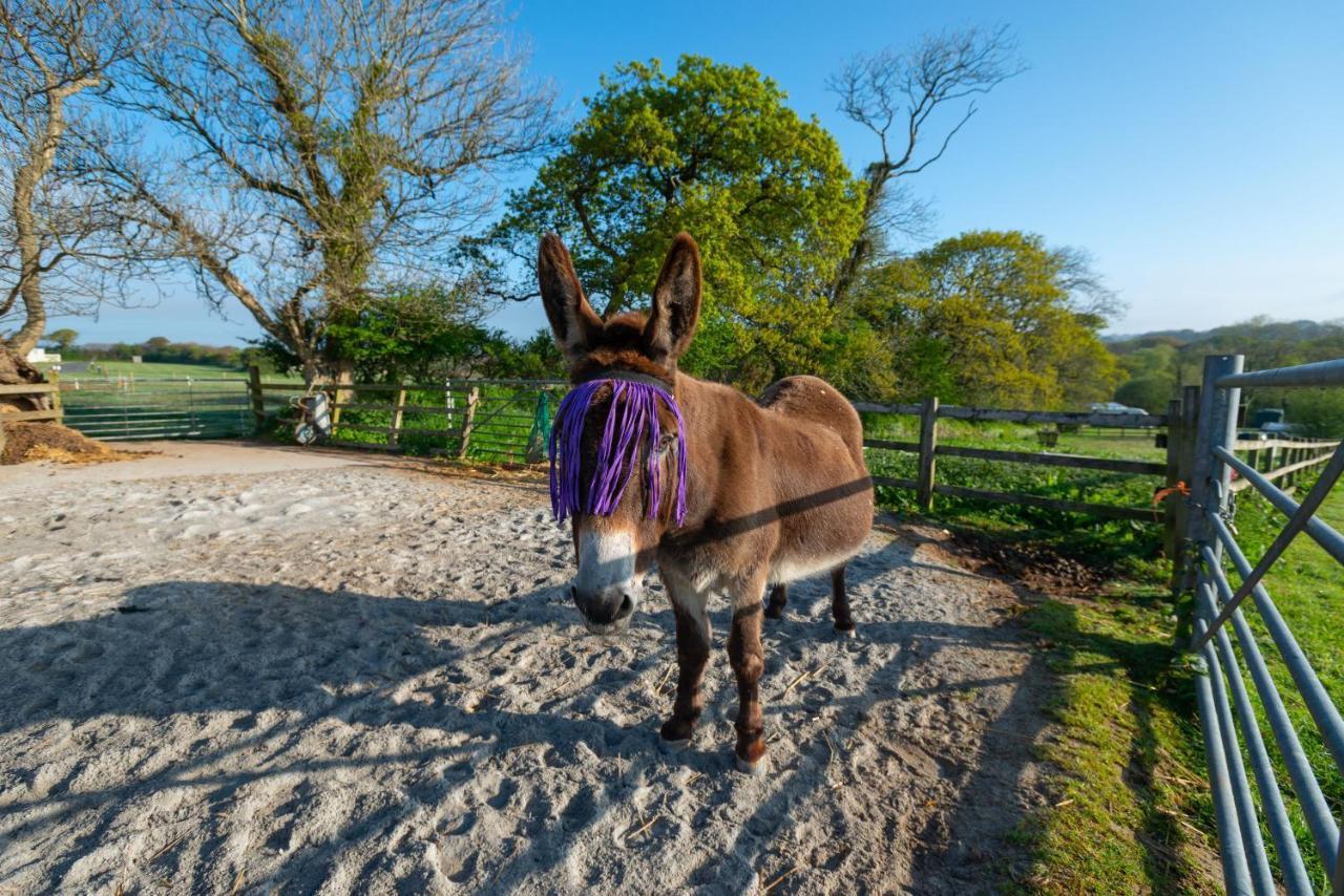 Grampound Our Kingfisher 34-4 Persons With Private Hot Tub-Pet Friendly-Tranquil Holiday Away From It All Yet Not Far From St Austell- The Holiday Home Has Two Bedrooms, Living And Dining Area, Equipped Kitchen-Decking-Outdoor Furniture-Fishing Lakes-Perfect المظهر الخارجي الصورة